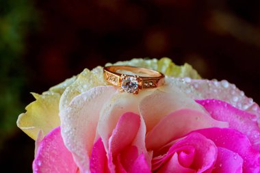 Makro closeup çiy damlaları ve güzel parlak elmas yüzük ile yükseldi