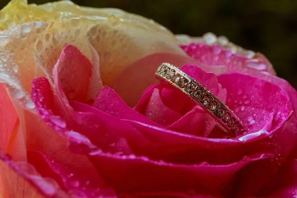 ロマンチックなバラ、バレンタインデーのためのリング — ストック写真