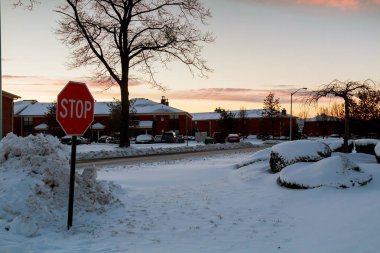 kış orman arka plan