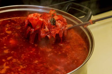 Geleneksel Ukrayna çanak - borsch, yakın bir kabın içinde yukarı