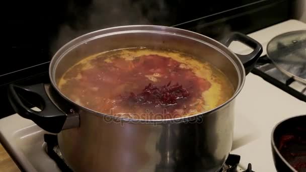 Nationale Oekraïense soep borsch koken — Stockvideo