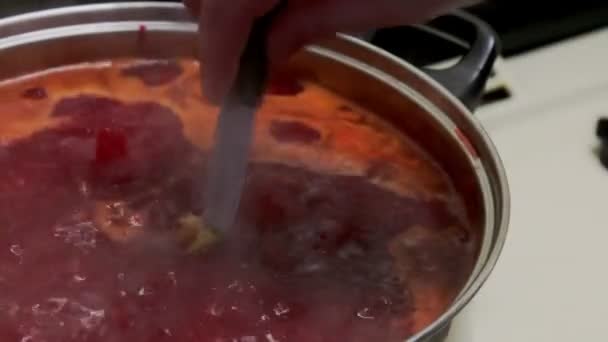 Ukrainian borsch cooking vegetable soup — Stock Video