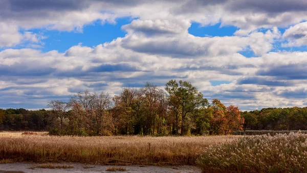 Herbst im Morgenpark — Stockfoto