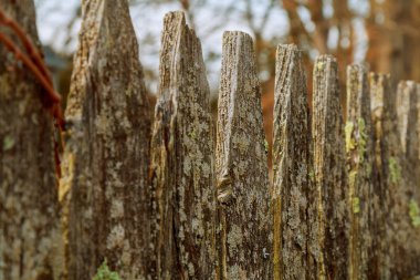 Ahşap çit dikenli tel arka plan dolaşmış