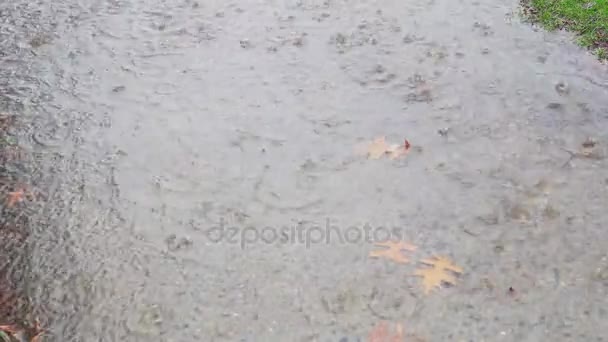 Pioggia forte sulle riprese in acqua con telecamera ad alta velocità , — Video Stock