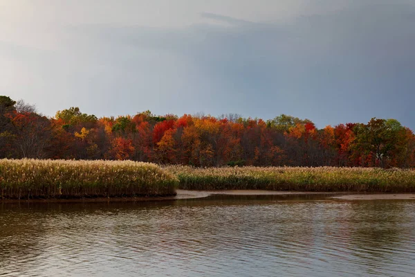 Utumn Wald am Ufer des Flusses und seine Spiegelung im Wasser — Stockfoto