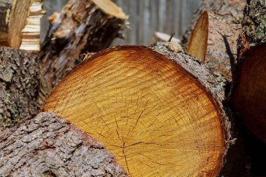 ahşap dokusu grunge arkaplanı