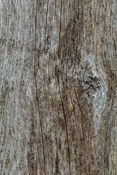 Antiguo fondo de madera —  Fotos de Stock