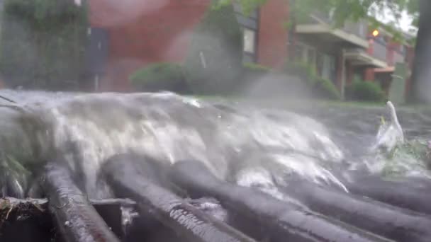 Tempesta di pioggia su una strada . — Video Stock