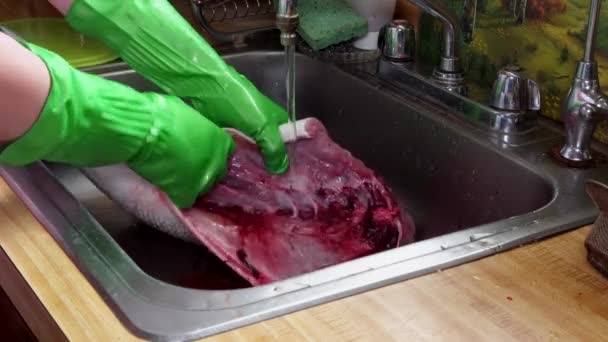 Koch putzt Blyufische auf der Waage — Stockvideo