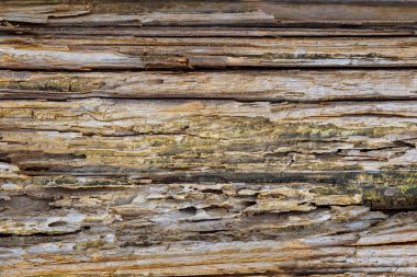 Ahşap arka plan dokusu yakın plan