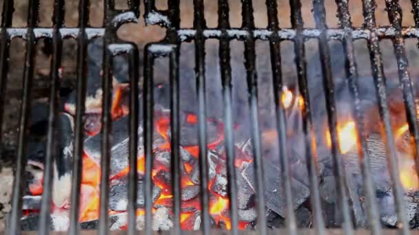 烧烤炉和燃烧的煤块。你可以看到更多的烧烤，烤制的食物，火 — 图库视频影像