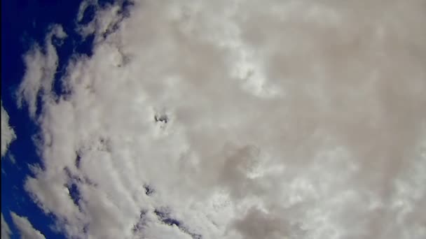 Летящая в небе анимация с передней стороны — стоковое видео