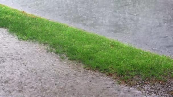 Lluvia de tormenta fuerte en un camino cae sobre la superficie del agua . — Vídeos de Stock