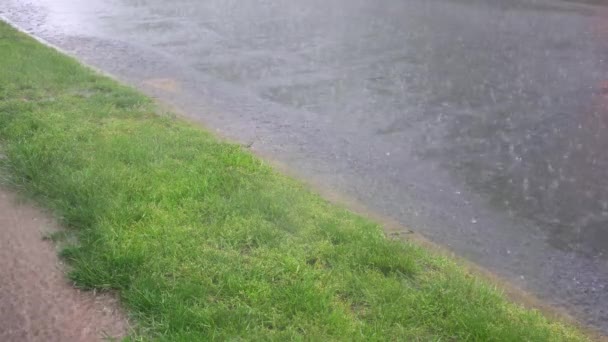 Lluvia de tormenta fuerte en un camino cae sobre la superficie del agua . — Vídeos de Stock
