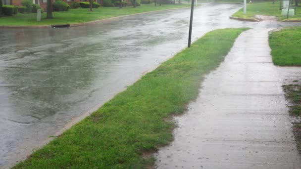 Grandes gouttes de pluie sur asphalte . — Video