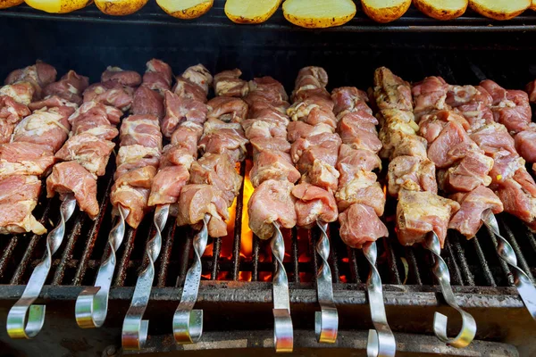 Barbekü Izgara ızgara kebab. seçici odak