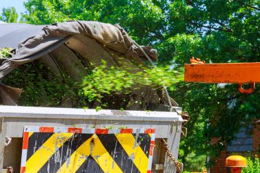 Bir ağaç biçicinin veya fiş çekim mulcher odun parçalayıcı eyleme yakalar