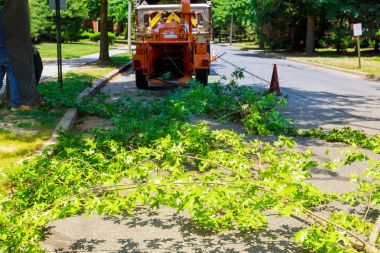 Büyük endüstriyel ağaç biçicinin ve kağıt öğütücü