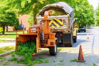 Man worker feeds large branch into wood chipper clipart