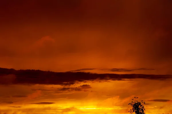 Восход солнца с деревьями и облаками на горизонте — стоковое фото