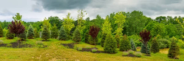 Vacker morgon ljus i offentlig park med grönt gräs fält — Stockfoto