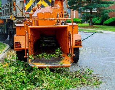 Wood chipper machine releasing the shredded woods into a truck clipart