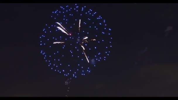 Fuegos Artificiales Celebración Sobre Cielo Nocturno Espacio Para Copiar Celebración — Vídeos de Stock