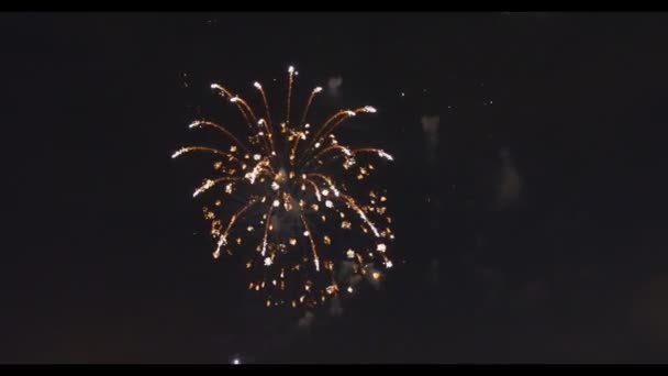 ブルー パープル グリーンお祝い花火を驚くほど コピー領域の上右側が位置しています 新年休日敬礼背景 日独立記念日 — ストック動画