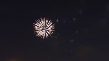 Güzel gree mor mavi kırmızı kutlamaları havai fişek sol tarafında yer alan üzerinde gece gökyüzü, Bağımsızlık günü, 4 Temmuz,