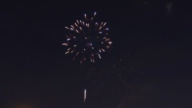 Mavi mor yeşil kutlamaları havai fişek şaşırtıcı sağ tarafında bulunan üzerinde gece gökyüzü, Bağımsızlık günü