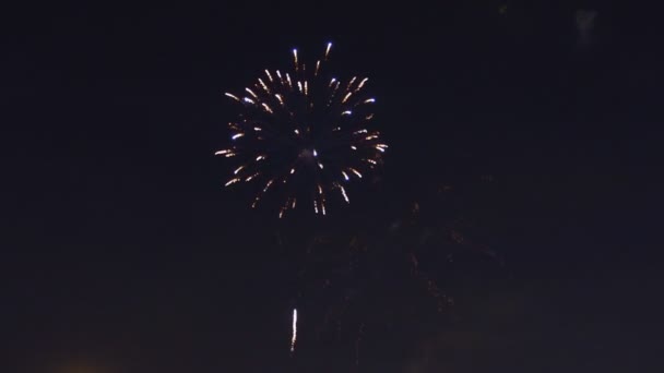 Incrível azul roxo fogos de artifício celebração verde localizado lado direito sobre o céu noturno, Dia da Independência — Vídeo de Stock