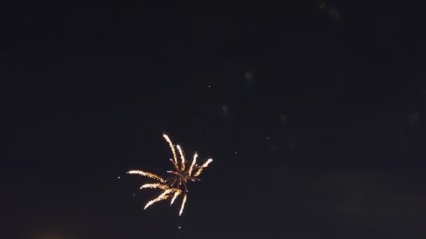 Chispeante rojo verde amarillo celebración fuegos artificiales sobre el cielo estrellado. Día de la Independencia, 4 de julio, Año Nuevo — Vídeo de stock