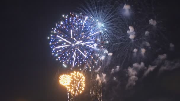 Collage di fuochi d'artificio colorati esplodono nel cielo notturno — Video Stock