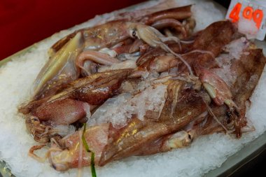 deniz ürünleri piyasada taze kalamar kalamar buz üstünde stok raflar