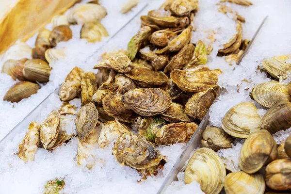 Montón de almejas frescas de mariscos en el hielo . — Foto de Stock