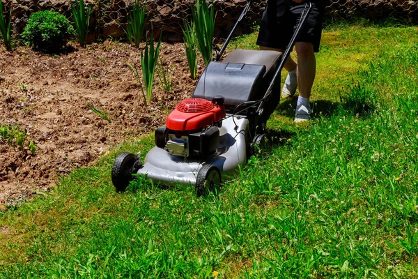 Pemotong Rumput Sedang Digunakan Oleh Tukang Kebun Untuk Memotong Rumput — Stok Foto