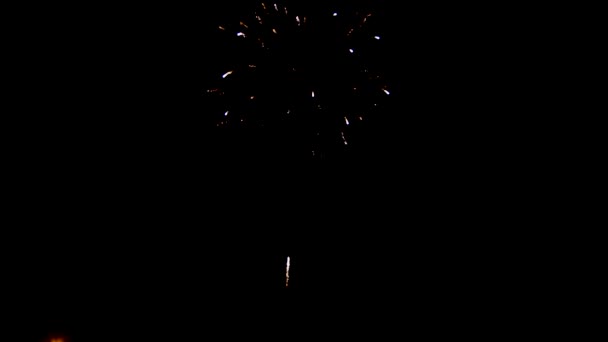 Искрящийся красный зеленый желтый праздник фейерверк над звездным небом. День независимости, 4 июля, Новый год — стоковое видео