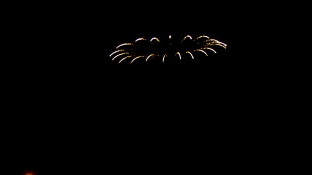 Incredibile blu viola verde celebrazione fuochi d'artificio situati sul lato destro sopra il cielo notturno, giorno dell'indipendenza — Video Stock