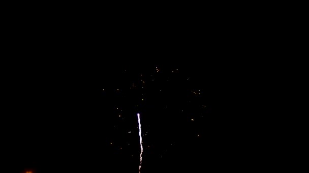 Fényesen színes tűzijáték és tisztelgés a különböző színek az éjszakai égbolton, — Stock videók