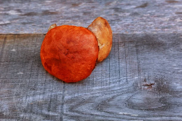 Forest mushrooms on oak cutting Board vintage wooden background — Stock Photo, Image