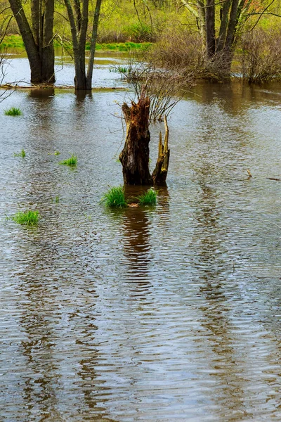 Ağır Yağmur Sel Sonra Sular Altında Park — Stok fotoğraf