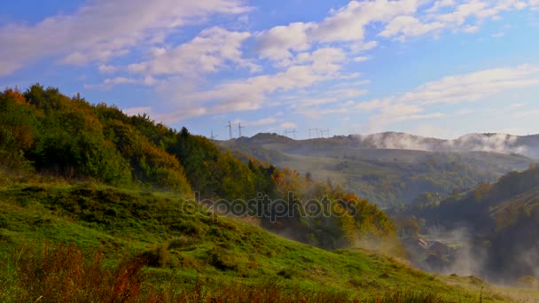 Misty beukenbos op de berghelling in een natuurgebied. — Stockvideo