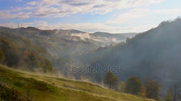 Árboles en una niebla en la montaña — Vídeos de Stock