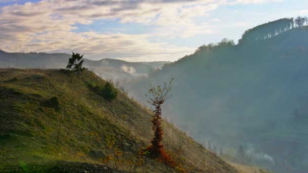 Kall morgondimma med heta soluppgång i barrträd skogen i bergen — Stockvideo