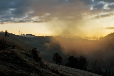 güç hattı sonbahar ağaçlar sis batımında ortasında