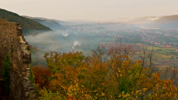 Туман, що охоплюють гірських лісів в Україні — стокове відео