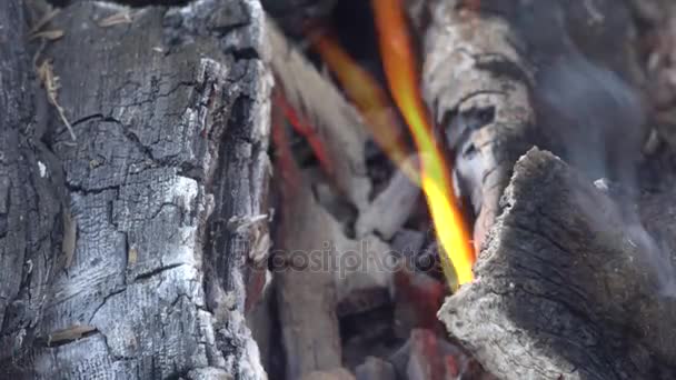 Heiße rote Kohlen im Lagerfeuer. — Stockvideo