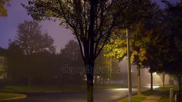 Circulation sur la route de nuit avec des lampadaires dans le brouillard — Video
