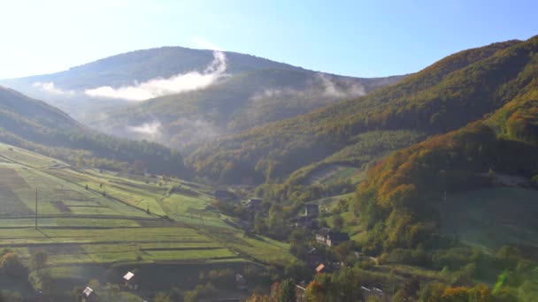 Gran skogen trä i fjällområde av en höst morgon omfattas av dimma dimma — Stockvideo